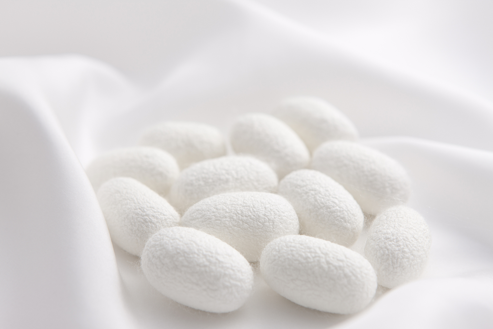 國家&ldquo;十四五&rdquo;重點布局領(lǐng)域 | 再生材料&mdash;&mdash;絲素蛋白