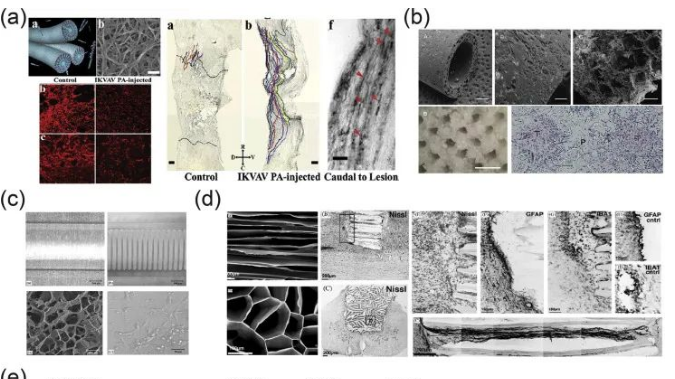 神經(jīng)再生膠原支架（獨(dú)步吾奇）